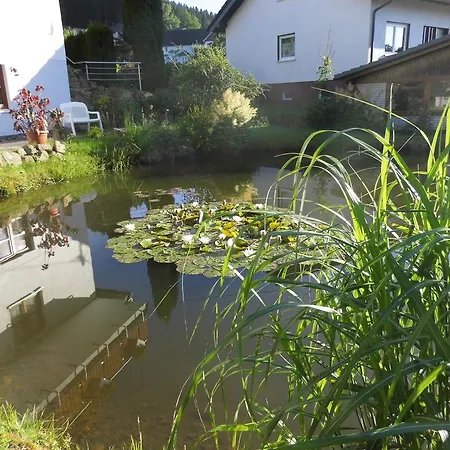 Modern In Near Forest *