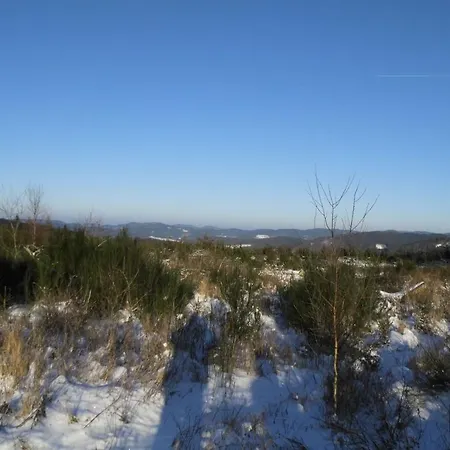 Modern In Near Forest Apartment Brachthausen