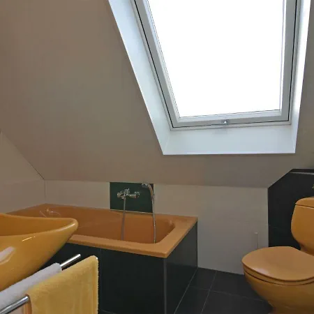 Modern In Near Forest *