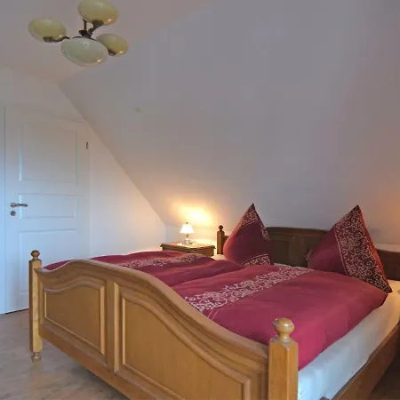 Modern In Near Forest Apartment