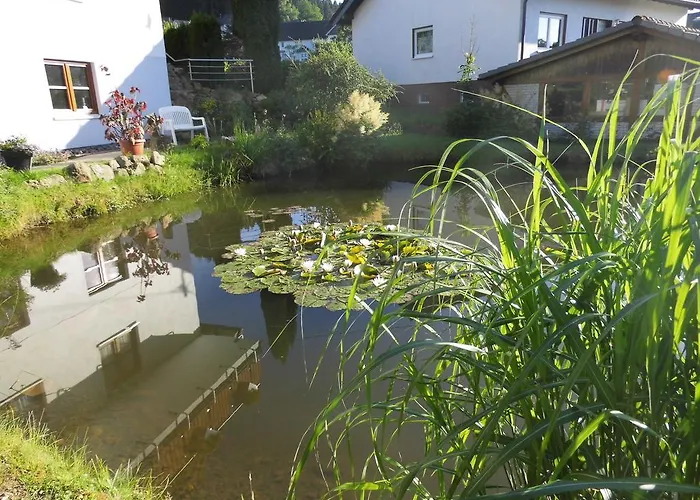 Modern In Near Forest *