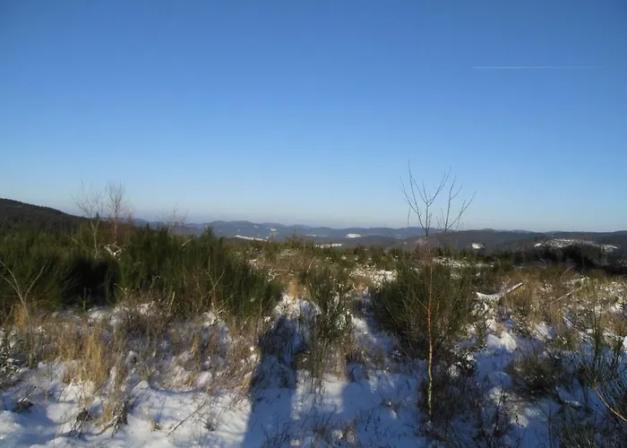 Modern In Near Forest Apartament Brachthausen