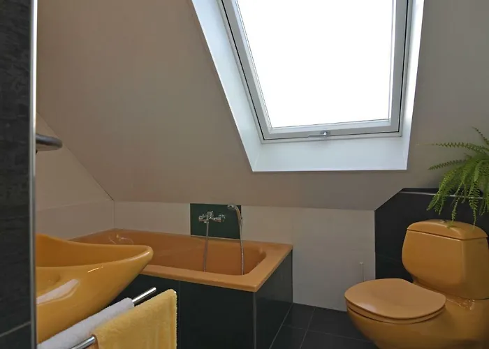 Modern In Near Forest *