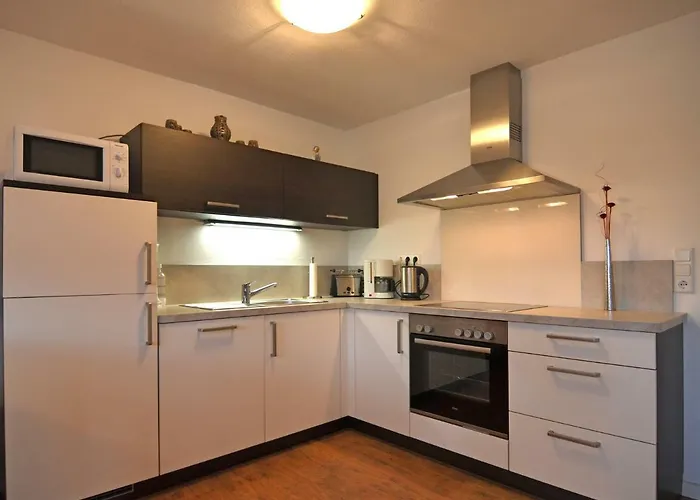 Modern In Near Forest *